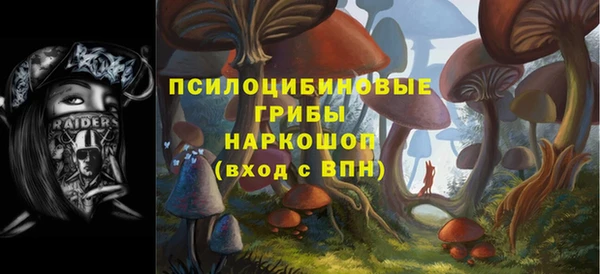apvp Балабаново