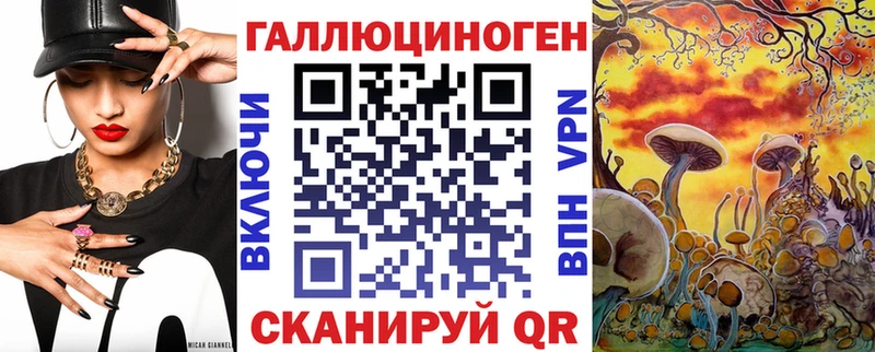 Псилоцибиновые грибы Psilocybe  даркнет клад  Бологое 